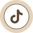 Icon Tiktok